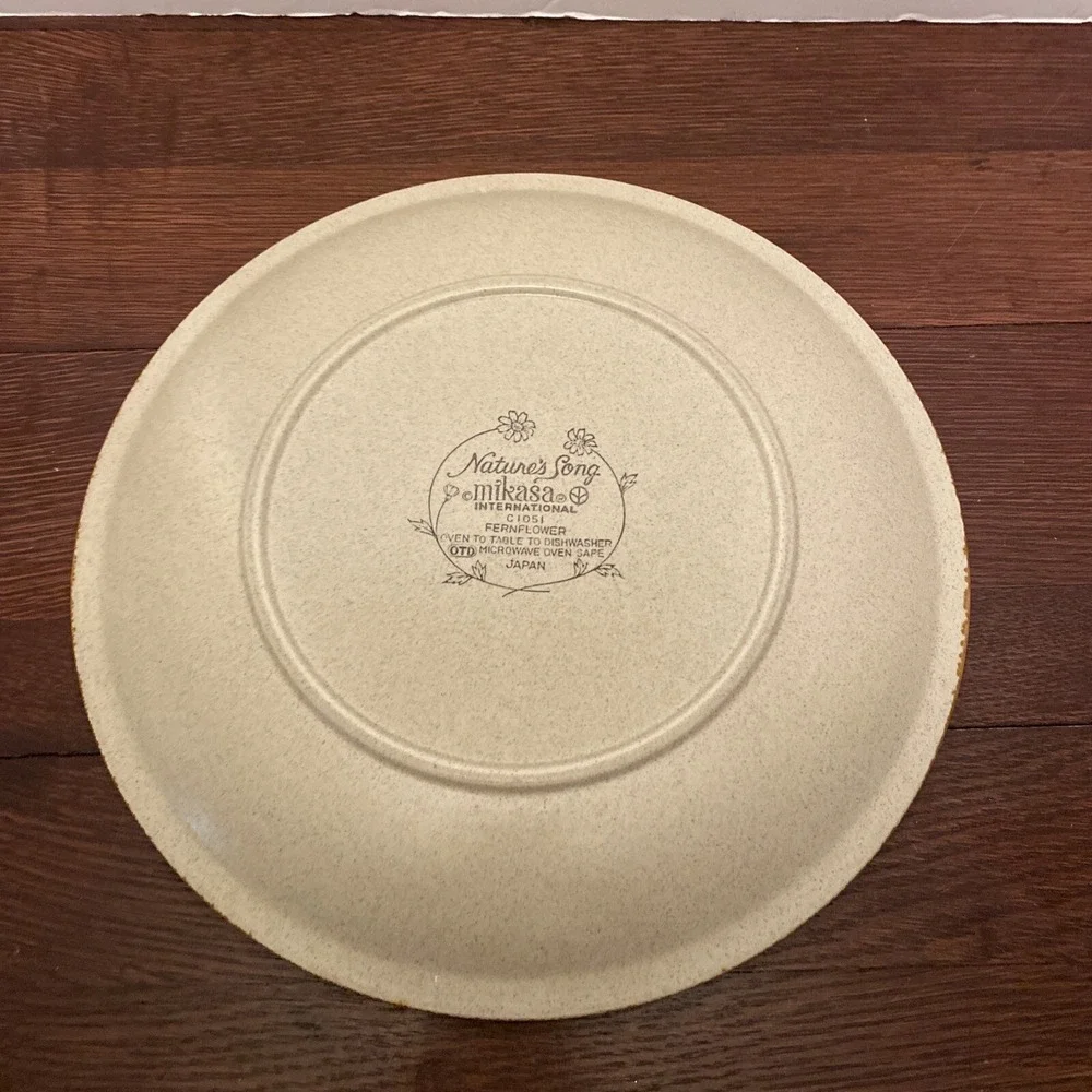 Vintage Mikasa Natures Song FERNFLOWER C1051 12